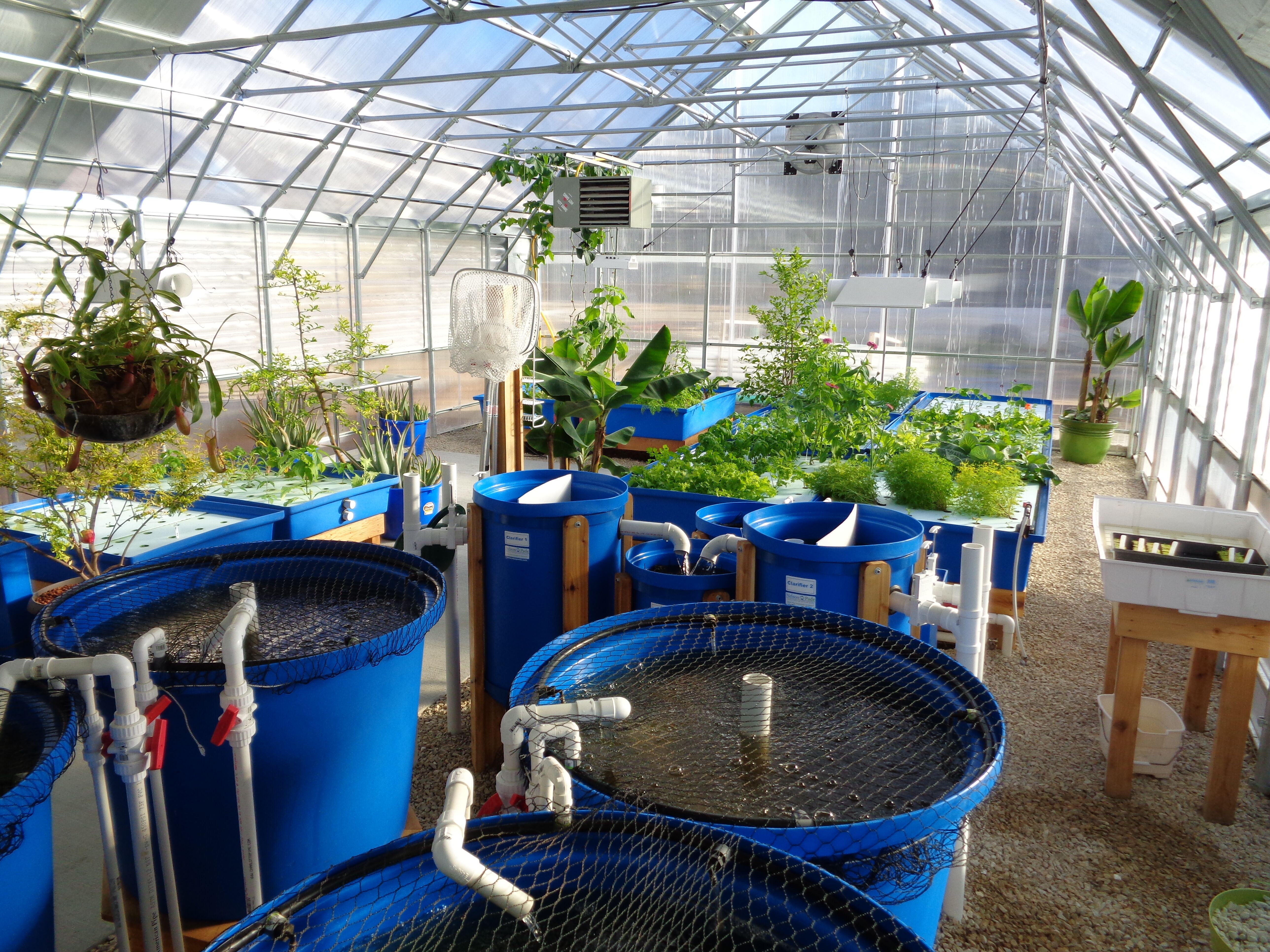 Aquaponic Systems, Store, Courses & Indoor Growing Equipments