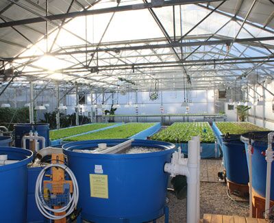 Greenhouses and Indoor Farming Online Course