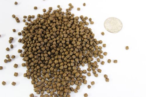 NON-GMO Fish Food for Aquaponics or Aquaculture