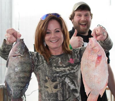 Aquaponics Daily Operations Online Course