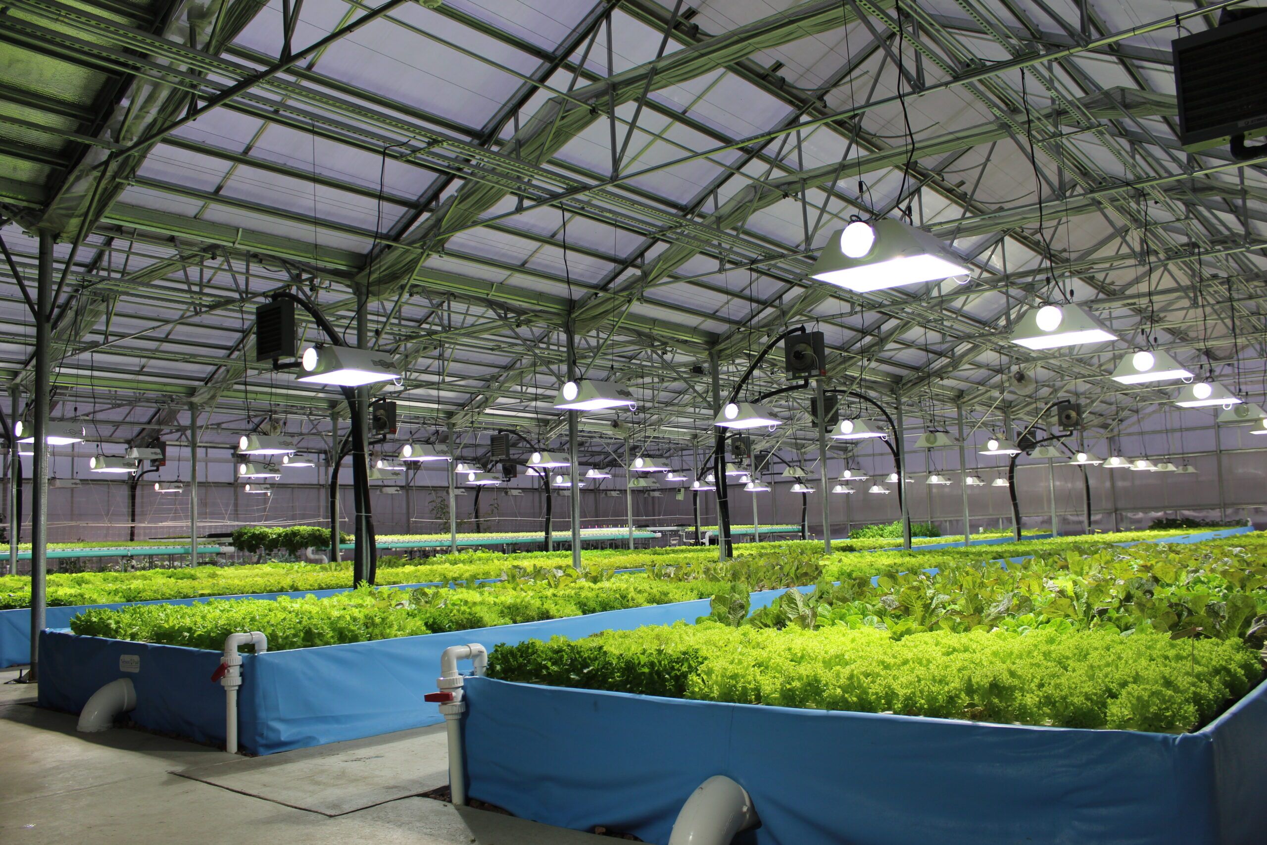 Commercial Aquaponics Online Course