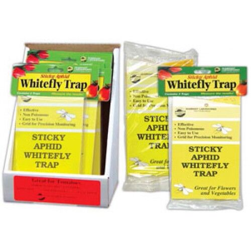 Sticky Traps for Whitefly and Aphid