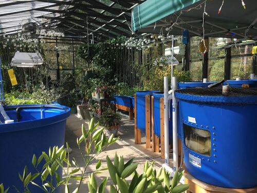 MicroFarm-1