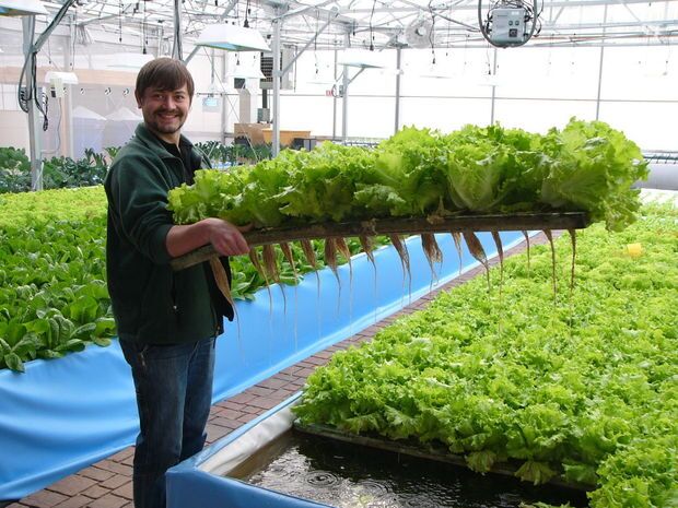 Interactive Aquaponic Business Spreadsheets
