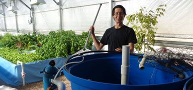 Aquaponics System Assembly: In-Person Course