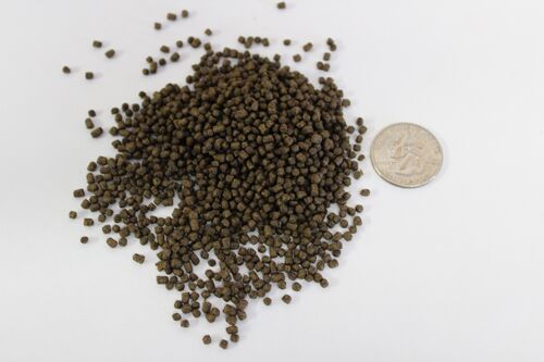 Fish Food Starter Kits for Aquaponics or Aquaculture